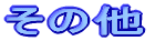 ���̑�