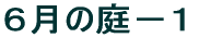 T̒