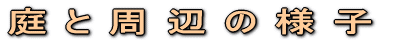 ��Ǝ��ӂ̗l�q