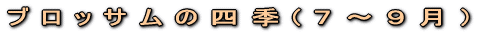 ��Ǝ��ӂ̗l�q