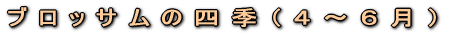 Ǝӂ̗lq